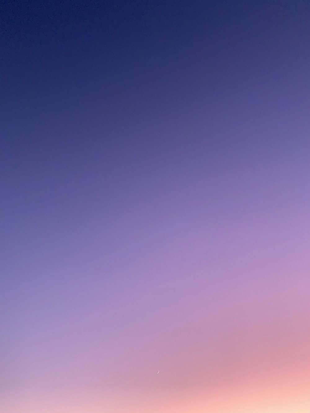 Stanislaw Muszynski in Edmonton